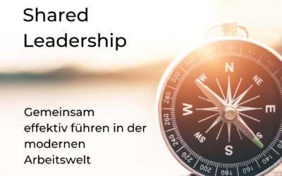 Mehr als Einzelkämpfer: mit Shared Leadership gemeinsam stark